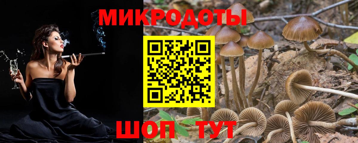 Галлюциногенные грибы ЛСД  Галлюциногенные грибы мицелий  Сорочинск  Вход с VPN 
